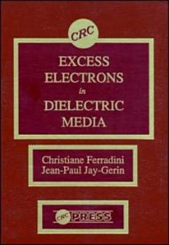 Excess Electrons in Dielectric Media