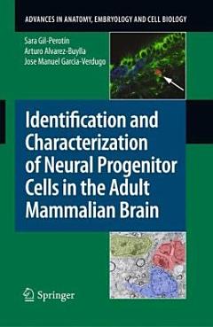 Identification and Characterization of Neural Progenitor Cells in the Adult Mammalian Brain