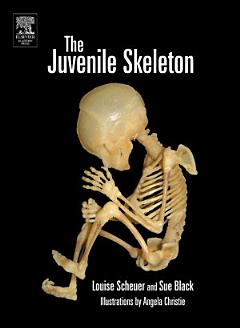 The Juvenile Skeleton