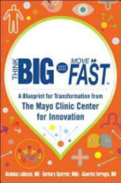 Think Big, Start Small, Move Fast: A Blueprint for Transformation from the Mayo Clinic Center for Innovation