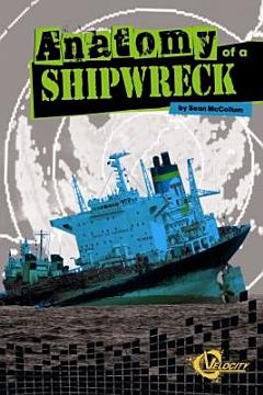 Anatomy of a Shipwreck