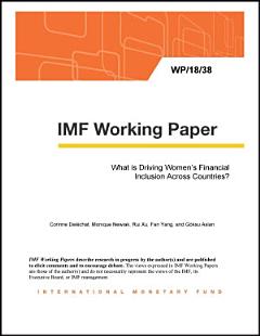 What is Driving Women’s Financial Inclusion Across Countries?