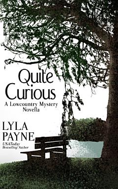 Quite Curious (A Lowcountry Novella)