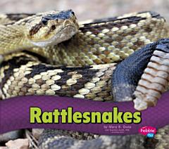 Rattlesnakes