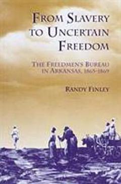 From Slavery to Uncertain Freedom