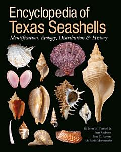 Encyclopedia of Texas Seashells