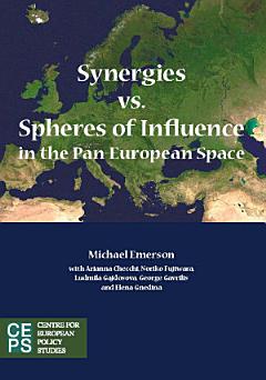 Synergies Vs. Spheres of Influence in the Pan-European Space