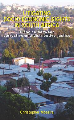 Litigating Socio-economic Rights in South Africa