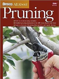 Ortho\'s All about Pruning