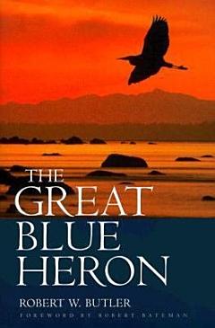 The Great Blue Heron