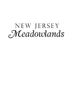 New Jersey Meadowlands: