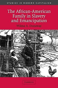 The African-American Family in Slavery and Emancipation