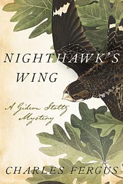 Nighthawk\'s Wing