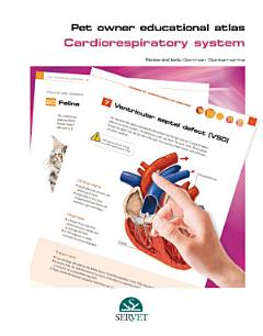 Pet Owner Educational Atlas. Cardiorespiratory System