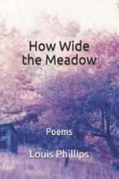 How Wide the Meadow