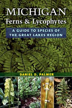 Michigan Ferns and Lycophytes