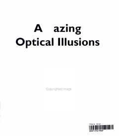 Amazing Optical Illusions