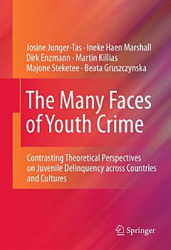 The Many Faces of Youth Crime