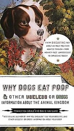 Why Dogs Eat Poop, and Other Useless or Gross Information About the Animal Kingdom