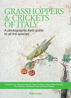 Grasshoppers and Crickets of Italy