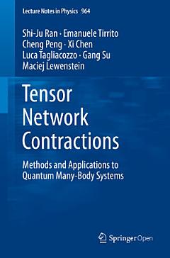 Tensor Network Contractions