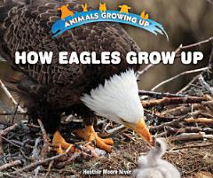 How Eagles Grow Up