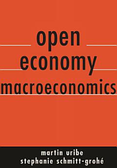 Open Economy Macroeconomics