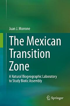 The Mexican Transition Zone