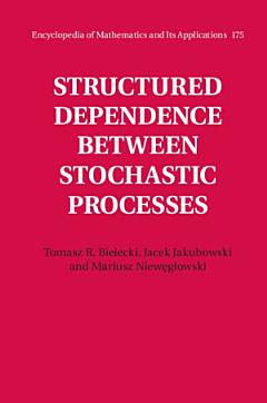 Fundamentals of the Theory of Structured Dependence between Stochastic Processes