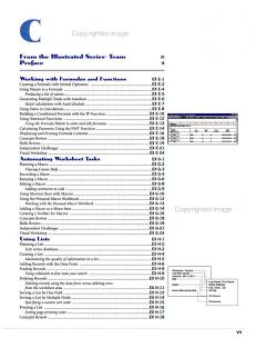 Microsoft Excel 97