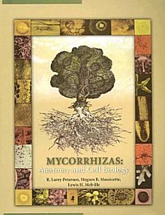 Mycorrhizas