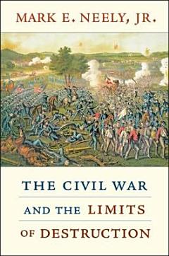 The Civil War and the limits of destruction