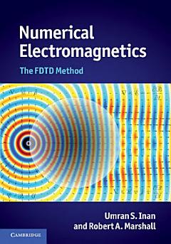 Numerical Electromagnetics