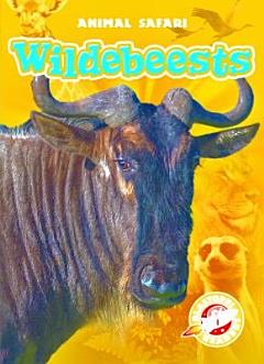 Wildebeests