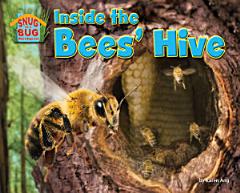 Inside the Bees\' Hive