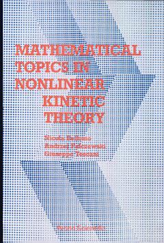 Mathematical Topics in Nonlinear Kinetic Theory