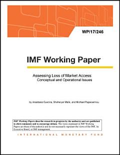 Assessing Loss of Market Access: Conceptual and Operational Issues