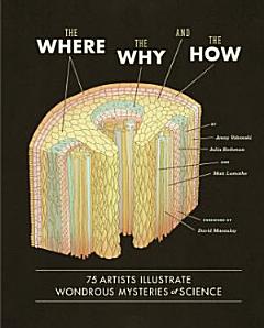 The Where, the Why, and the How