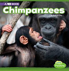 Chimpanzees