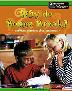 Why Do Bones Break?