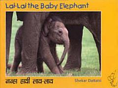 Lai-Lai the baby elephant