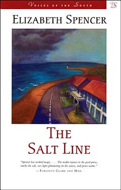 The Salt Line