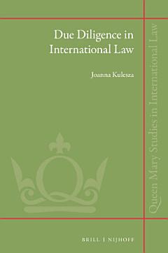 Due Diligence in International Law