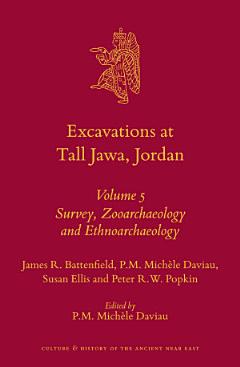 Excavations at Tall Jawa, Jordan