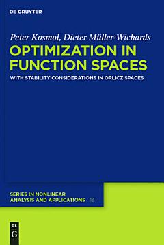 Optimization in Function Spaces with Stability Considerations in Orlicz Spaces