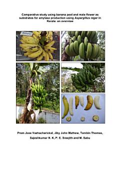 Comparative study using banana peel and male flower as substrates for amylase production using Aspergillus niger in Kerala: an overview