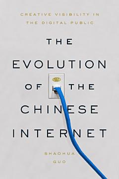 The Evolution of the Chinese Internet