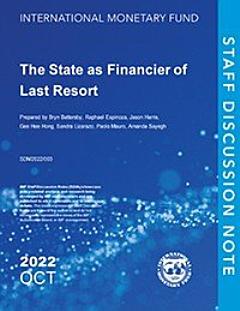 The State as Financier of Last Resort