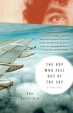 The Boy Who Fell Out of the Sky