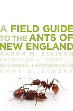 A Field Guide to the Ants of New England